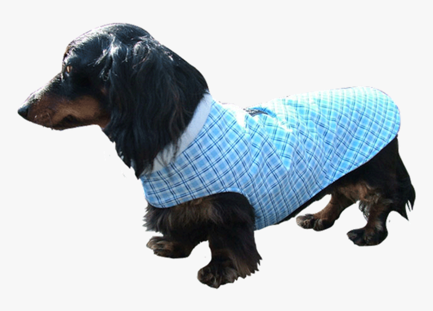 Collarless Designer Fabric Cuddler Dog Coat - Dachshund, HD Png Download