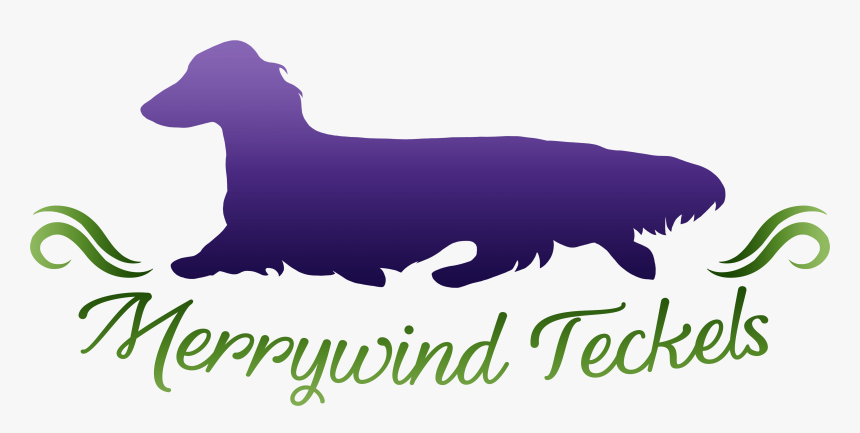 Companion Dog, HD Png Download