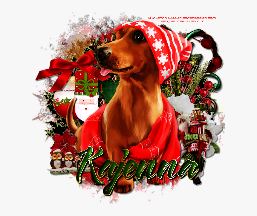 Dachshund, HD Png Download