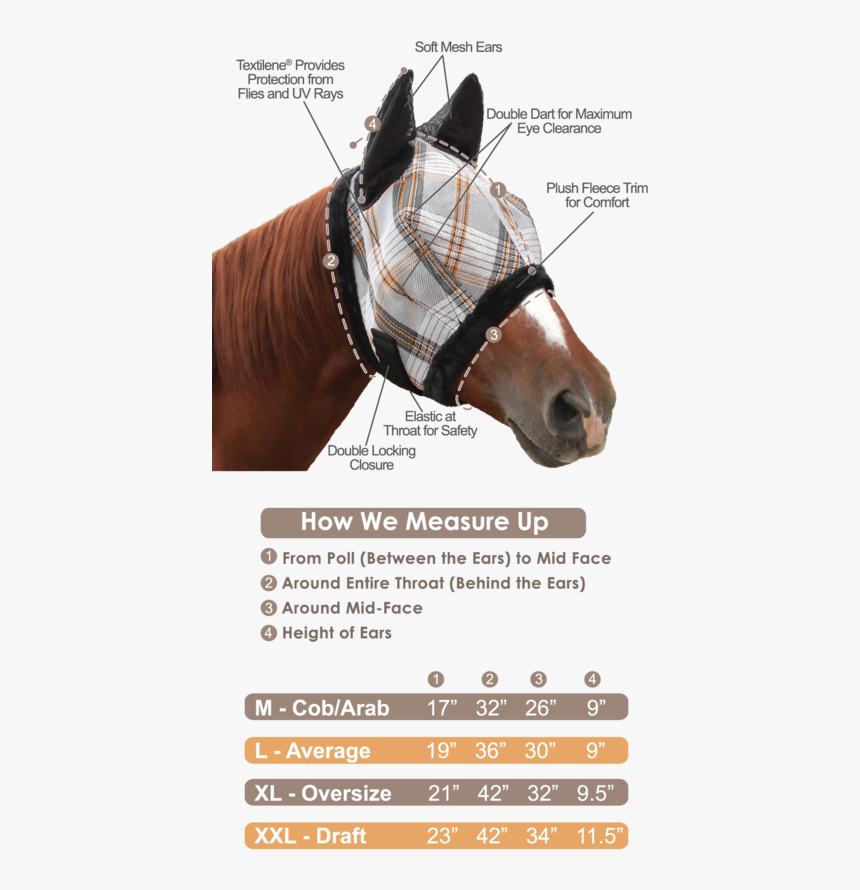 Transparent Horse Mask Png - Measure A Horse For A Fly Mask, Png Download