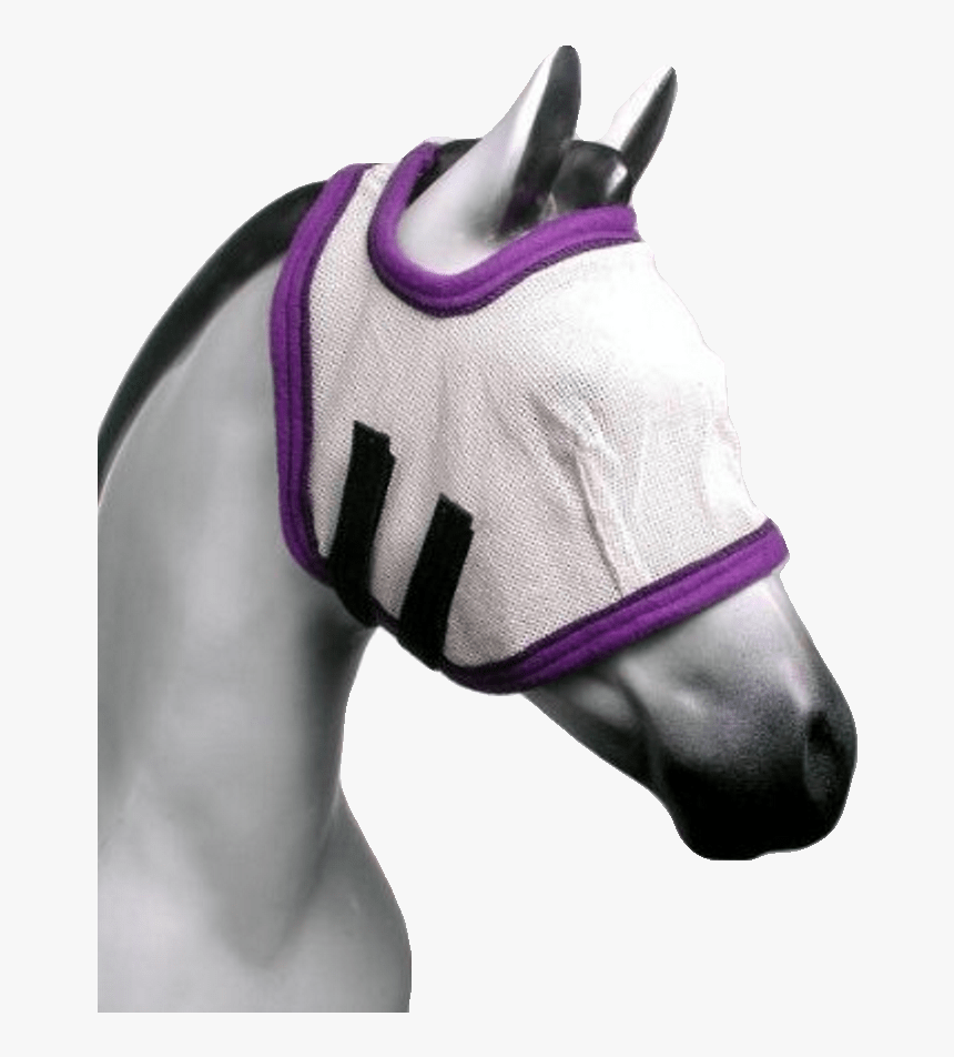 Puma, HD Png Download