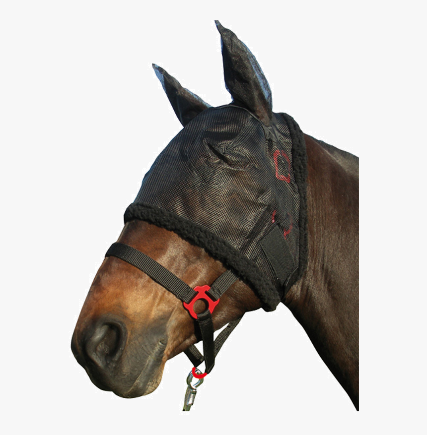 Transparent Horse Mask Png - Halter, Png Download , Transparent Png