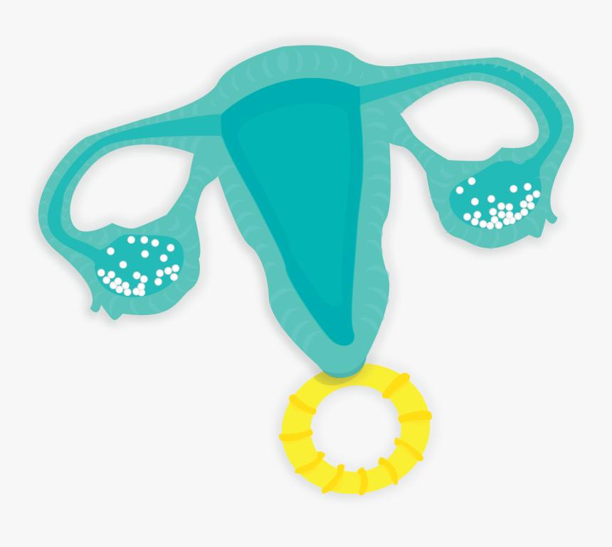 Uterus Rattle Clipart , Png Download, Transparent Png
