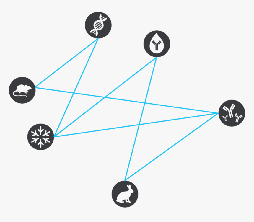 Diagram, HD Png Download