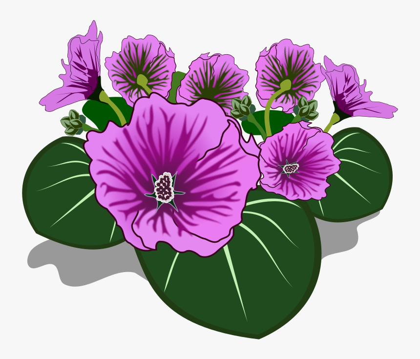 Flower - Colored Plants Png, Transparent Png