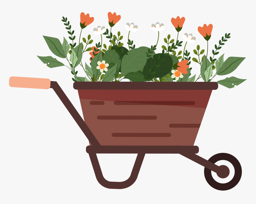 Tulip, HD Png Download