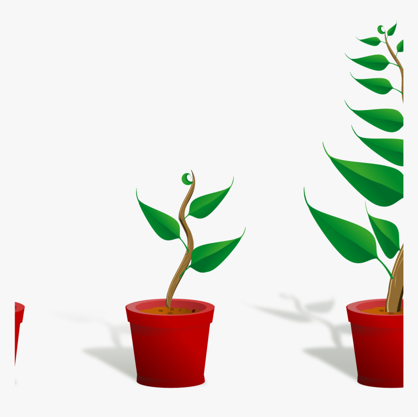 Flower Plant Clipart Plant 2 Growing 4444pxpng, Cute - Getting To Know Plants, Transparent Png