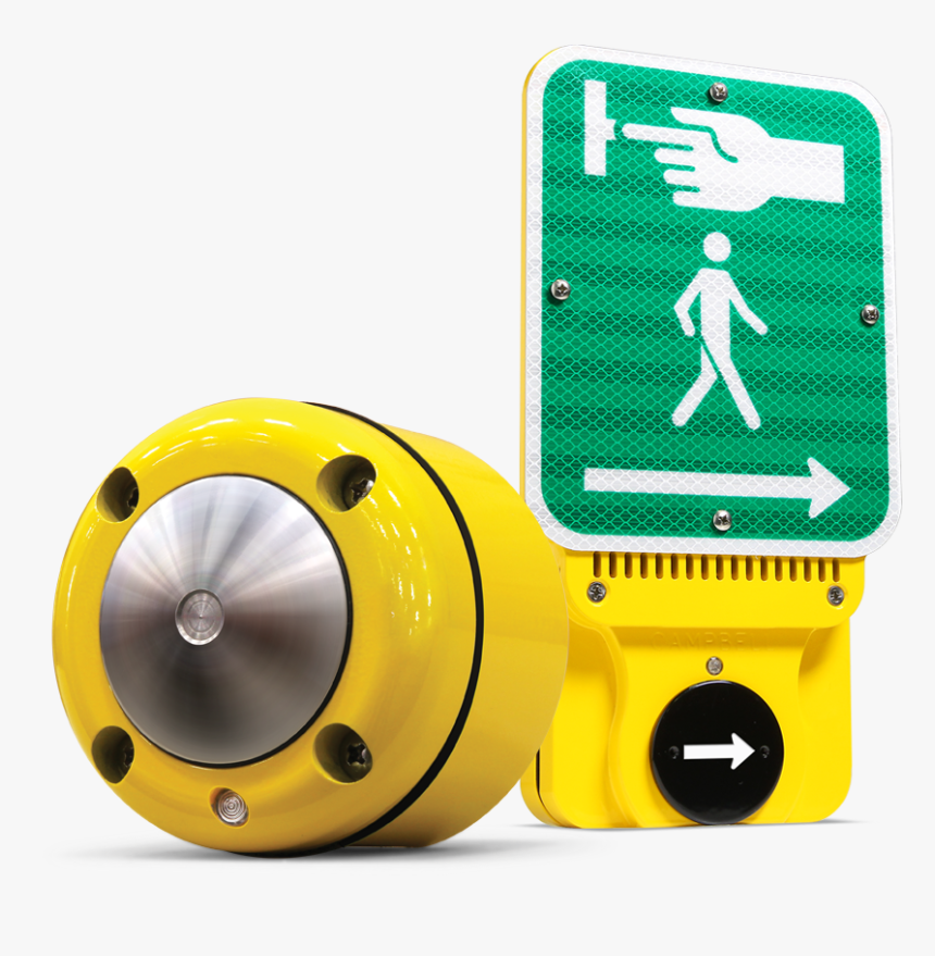 Campbell Company Pedestrian Safety - Fiore Di Campo, HD Png Download