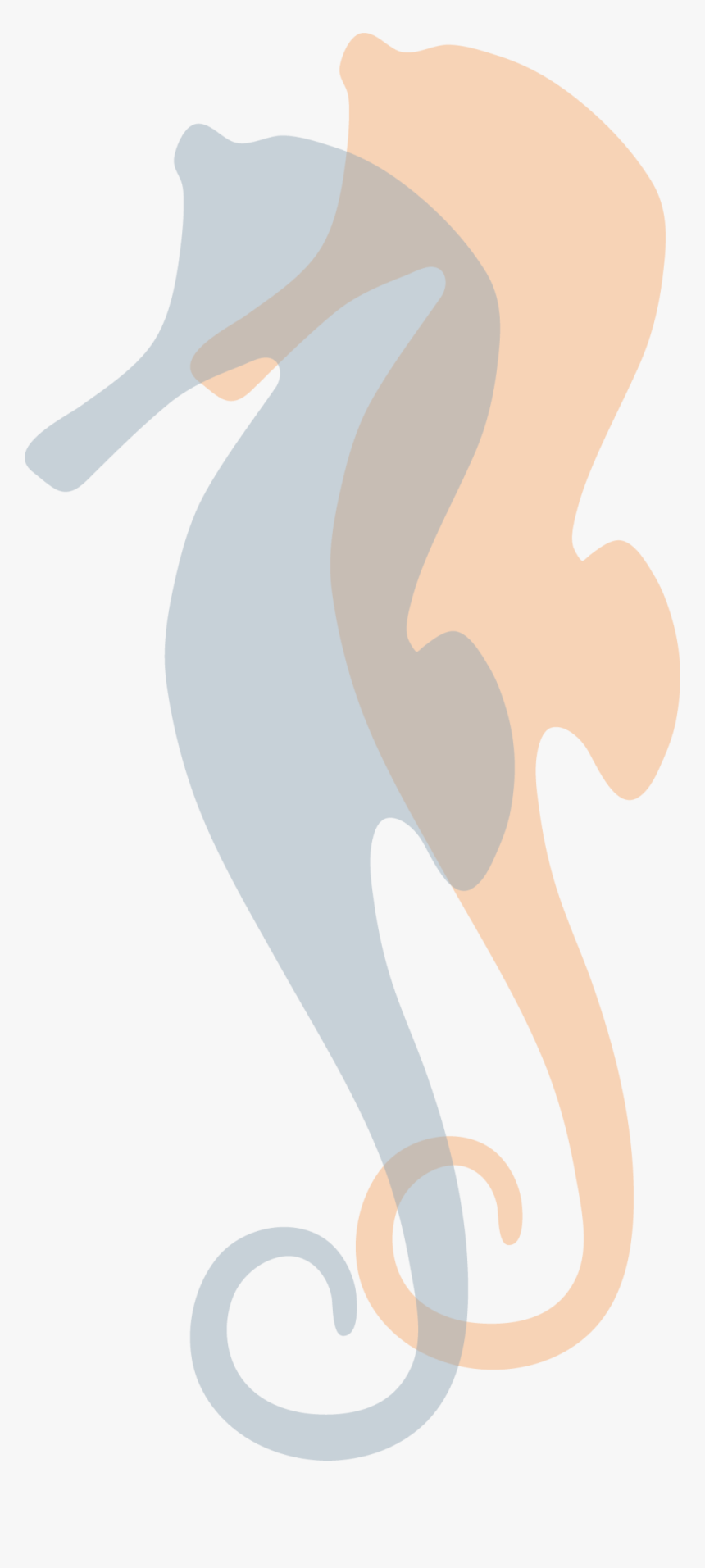 Icon Seahorses Highres - Illustration, HD Png Download