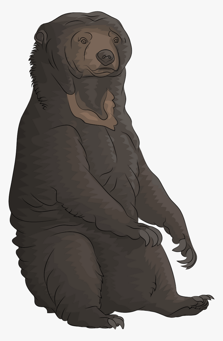 Newfoundland, HD Png Download