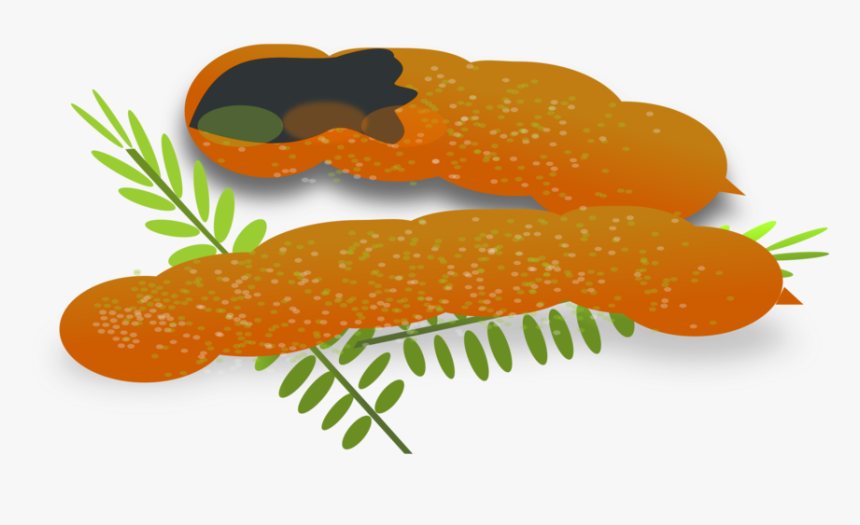 Food,fish,baby Carrot - Sour Food Clipart, HD Png Download