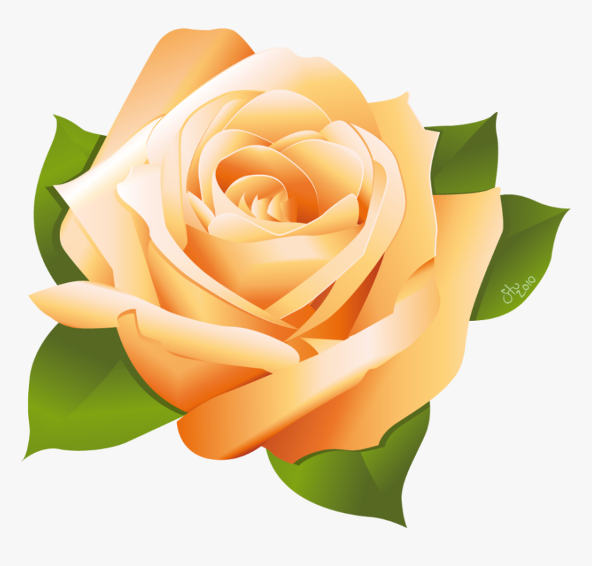 Rose Vector By Stoobainbridge On Clipart Library - Png Transparent Rose Vector, Png Download