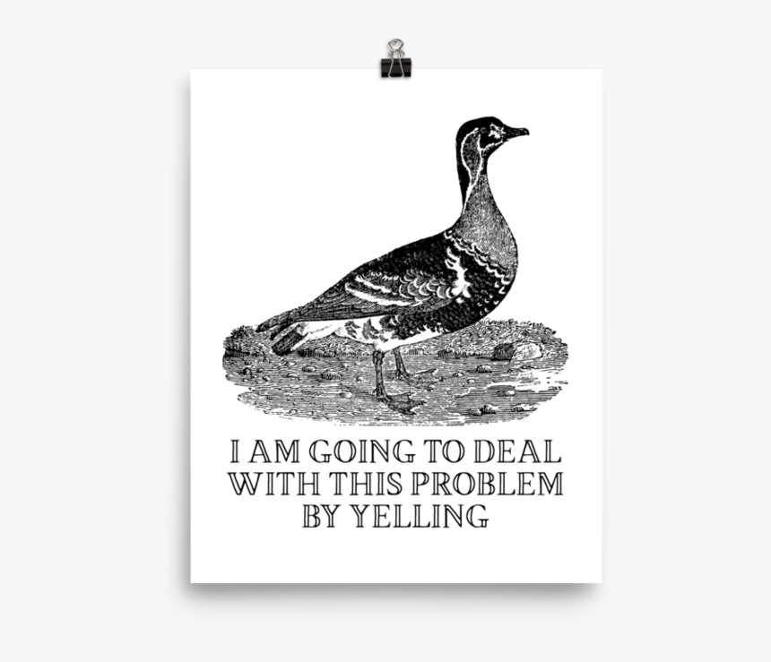 Yelling Poster 
 Srcset Data - Effin Birds Yelling, HD Png Download