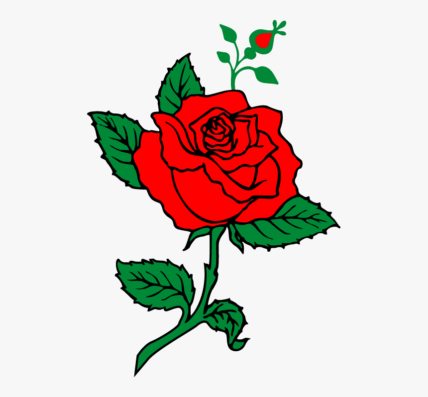 Rose Flower Png Illustrator, Transparent Png