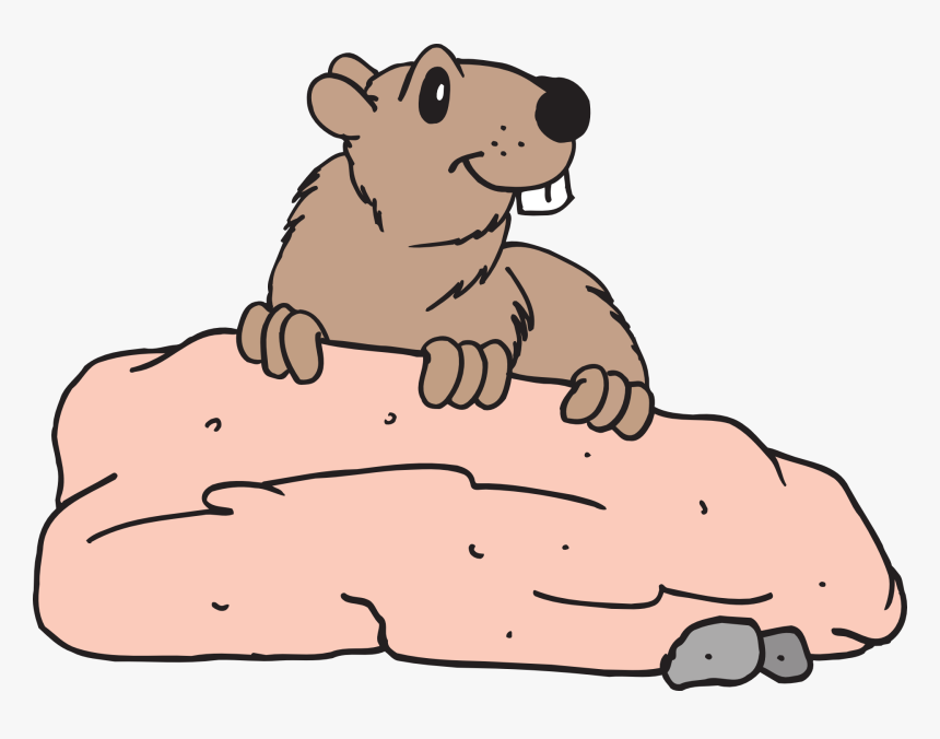 Transparent Groundhog Clipart - Clip Art, HD Png Download