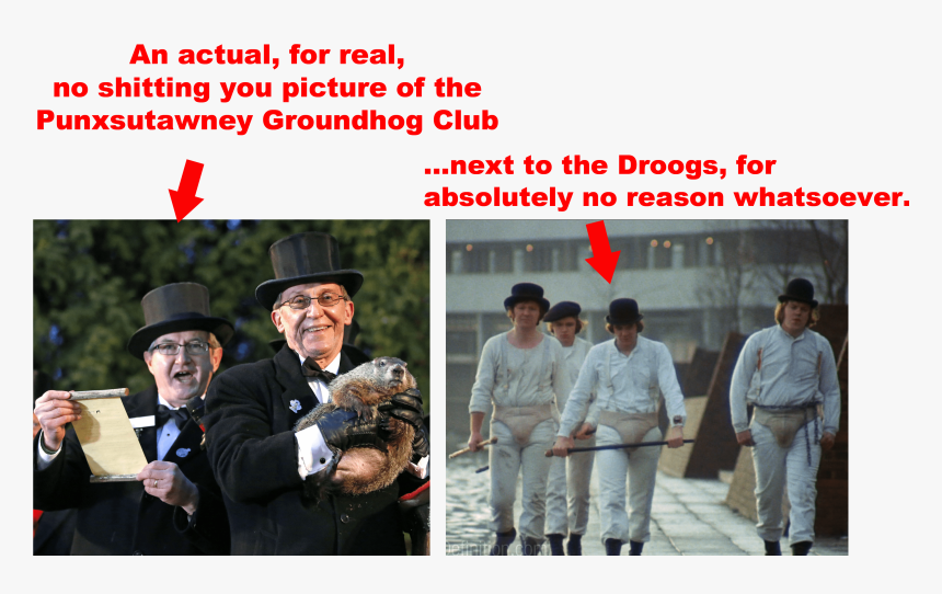 The Punxsutawney Boys Clockwork Orange Meme, HD Png Download