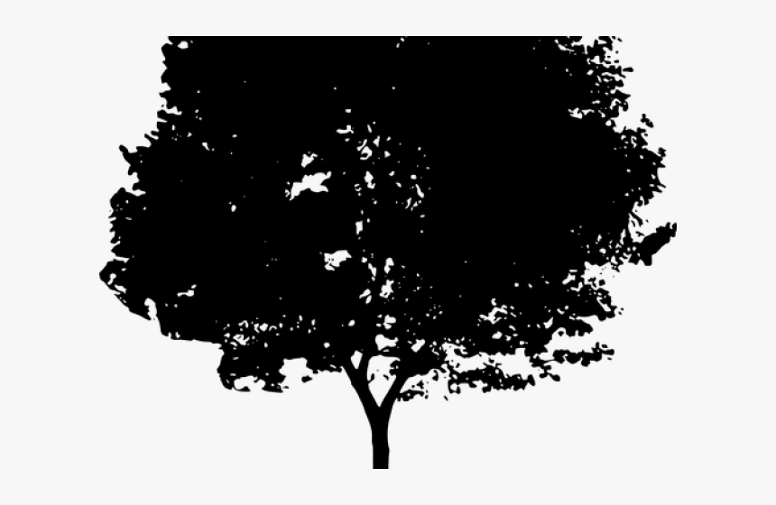 Shrub Bushes Clipart Old Tree - Qi Gong, HD Png Download