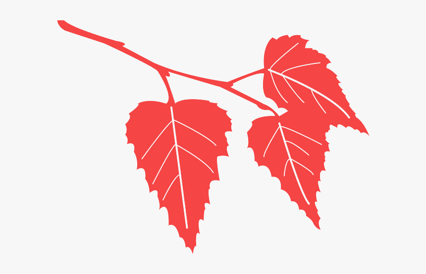 Birch Tree Leaf Silhouette, HD Png Download
