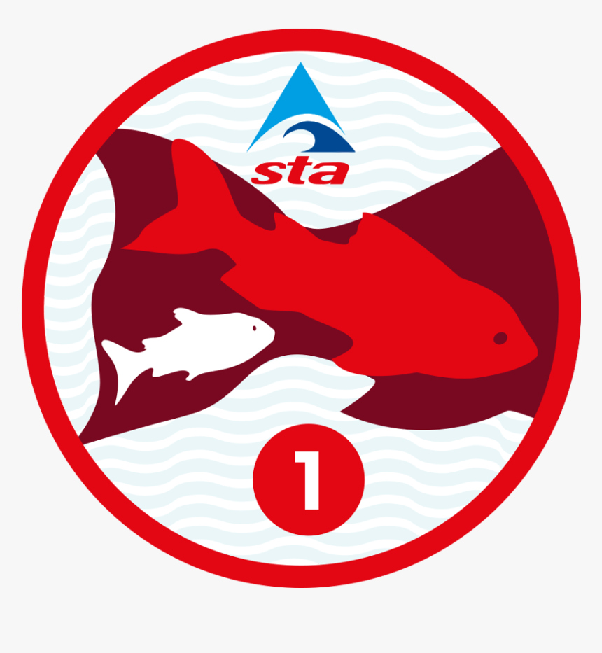 Circle, HD Png Download