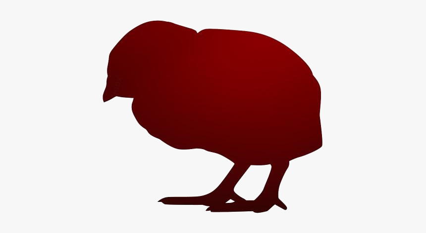 Baby Chick Png Hd Wallpaper - Illustration, Transparent Png