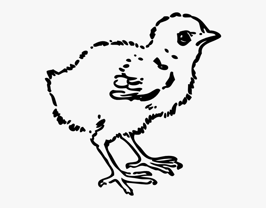 Baby Chick Svg Clip Arts - Black And White Clip Art Chick, HD Png Download