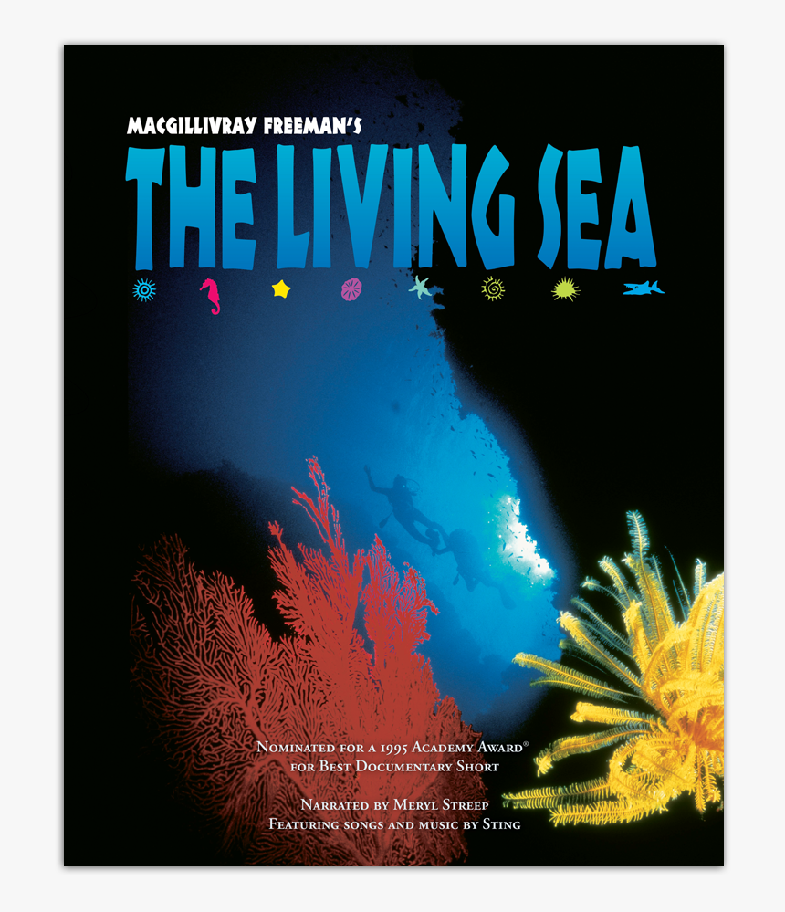 The Living Sea [dvd] - Sting The Living Sea 1995, HD Png Download