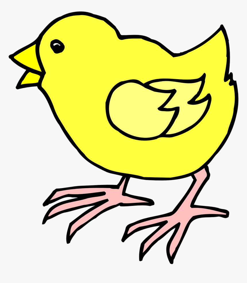 Cartoon Chick Clip Art - Cartoon Image Of A Chick, HD Png Download