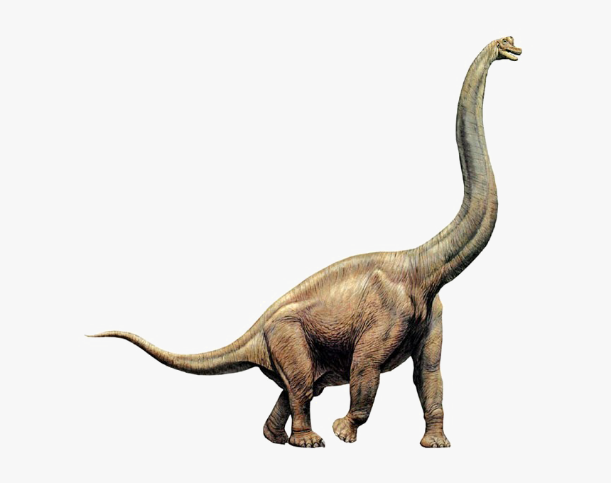 Sauropod Transparent Png - Brachiosaurus Png, Png Download