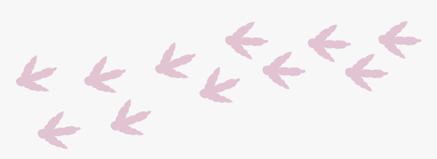 Tracks - Sea Turtle, HD Png Download