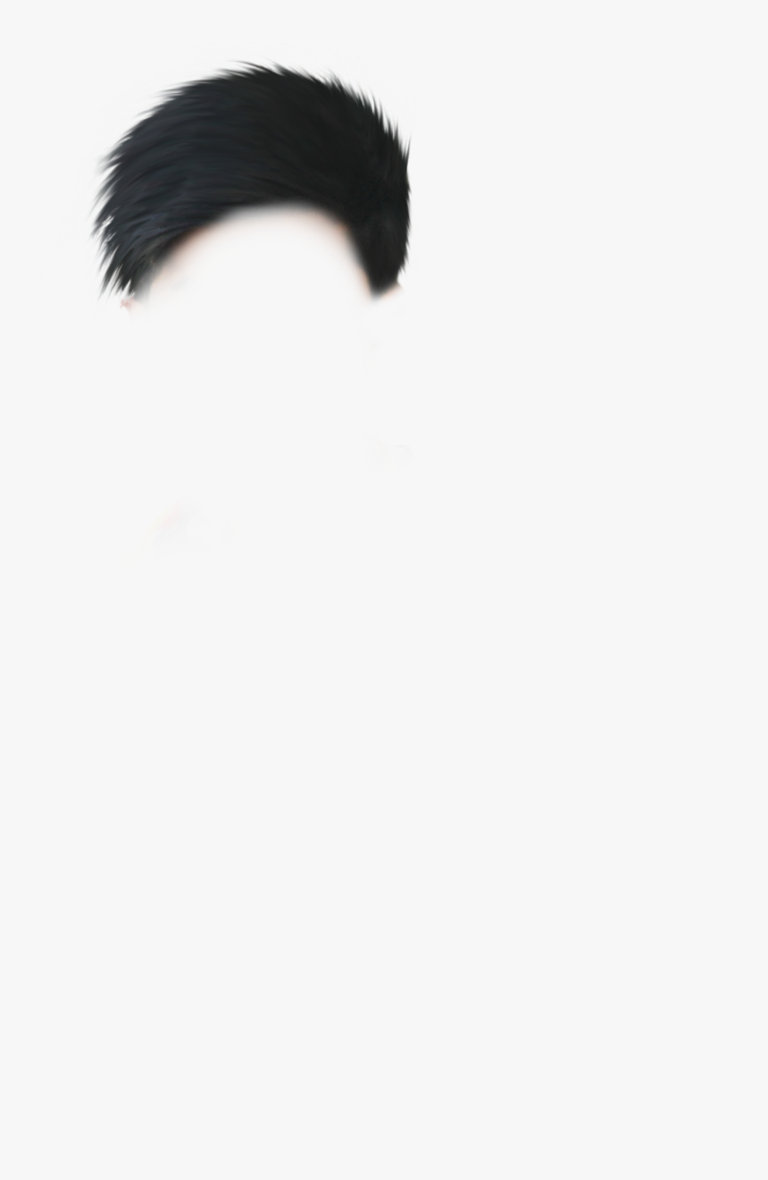 Hd Hair Png Download,picsartallpng - Pyrrharctia Isabella, Transparent Png