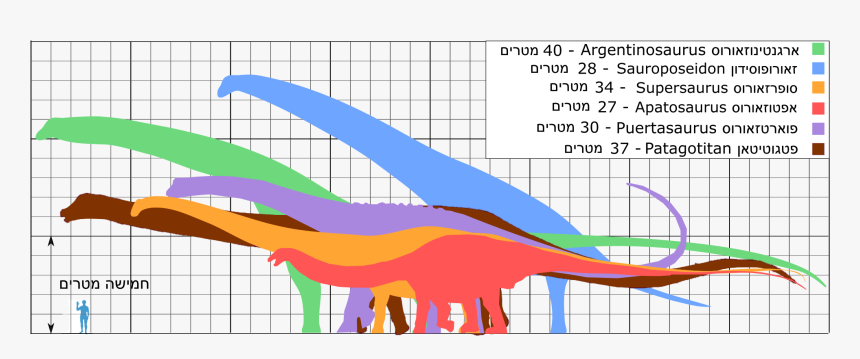 Biggest Dinosaurs Ver07 He - Patagotitan Mayorum Vs Argentinosaurus, HD Png Download