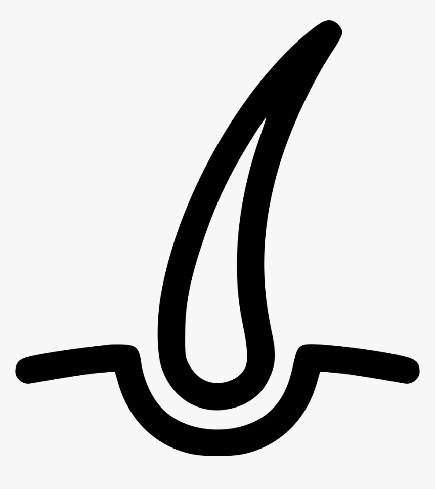 Hair, HD Png Download