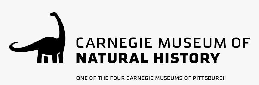 Carnegie Museum Of Natural History Logo, HD Png Download