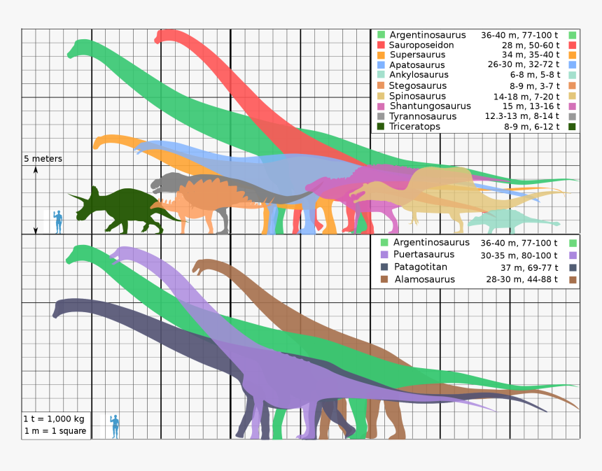 Shantungosaurus Size, HD Png Download