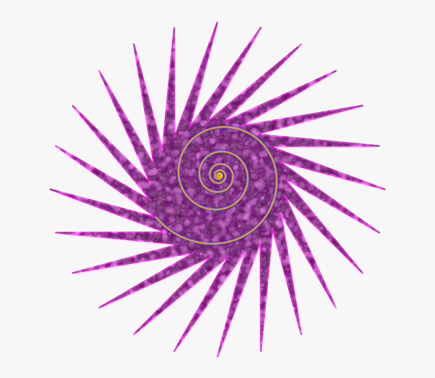 Pink,close Up,eye - Circle, HD Png Download