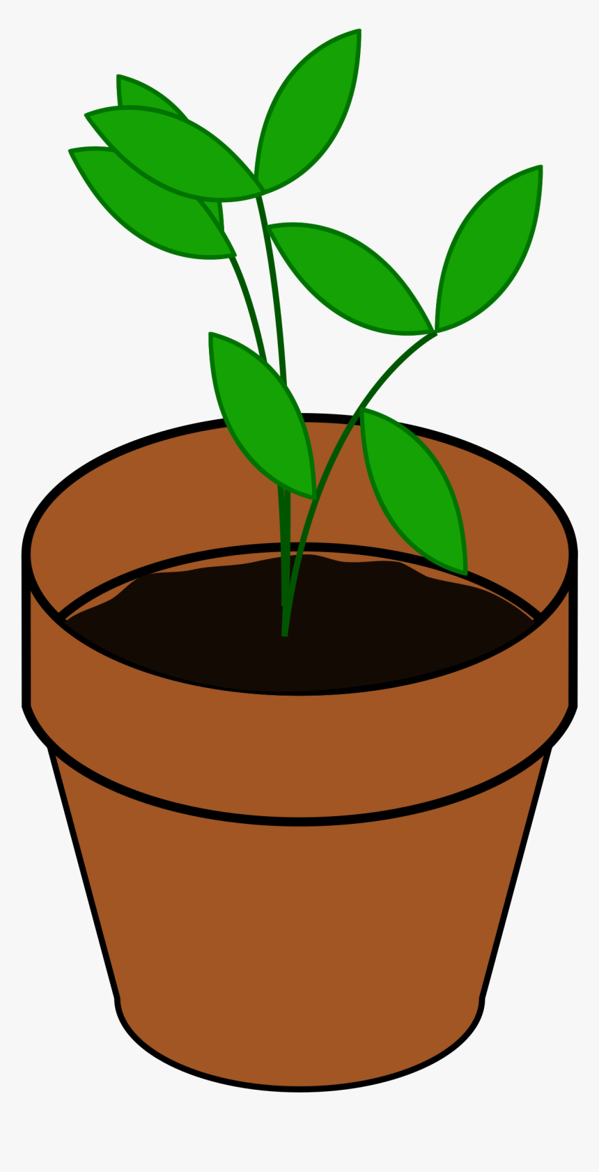 Plant In A Pot Clipart, HD Png Download