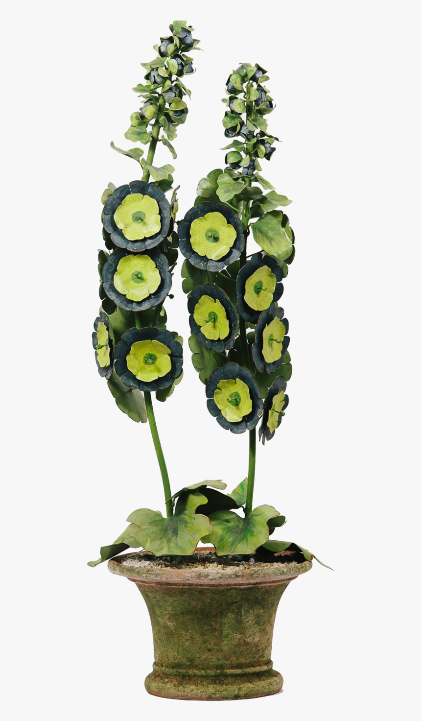 Tommymitchelljuly13 016 2728615563 O, HD Png Download