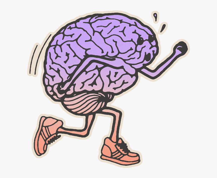 Brain - رسمة مخ, HD Png Download