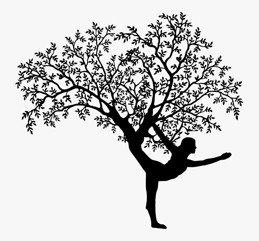 Yoga, Tree, Woman, Mandala, Namaste, Lotus, Meditation - Tree And Yoga Silhouette, HD Png Download