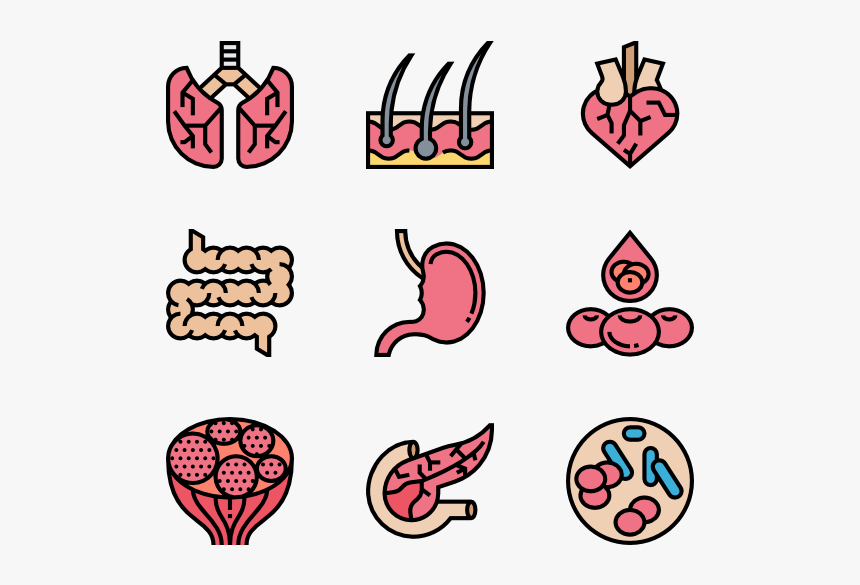 Clipart Body Parts Cartoon, HD Png Download