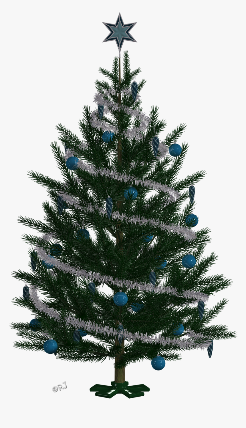 Winter Trees & Christmas Trees - Christmas Tree, HD Png Download