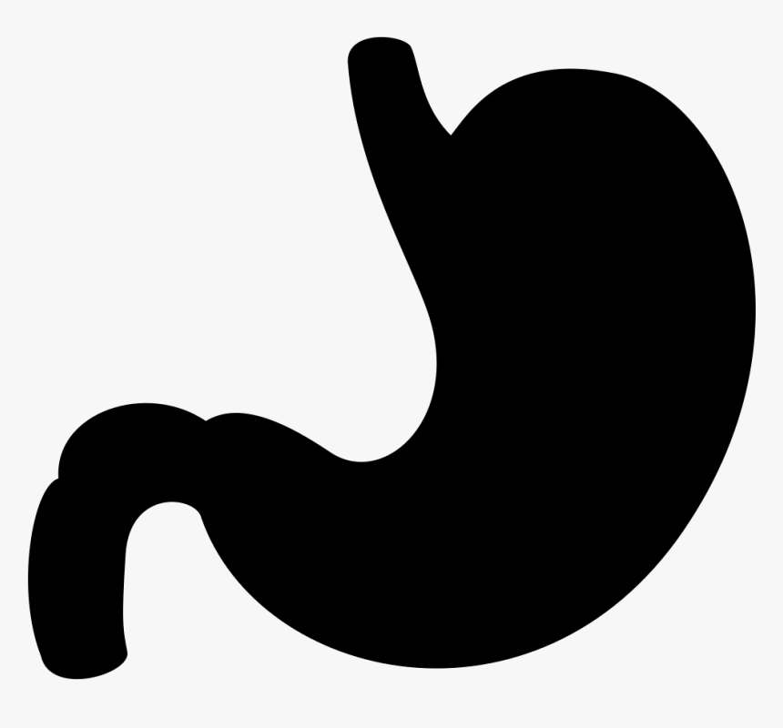 Stomach - Mide Png Vektörel, Transparent Png