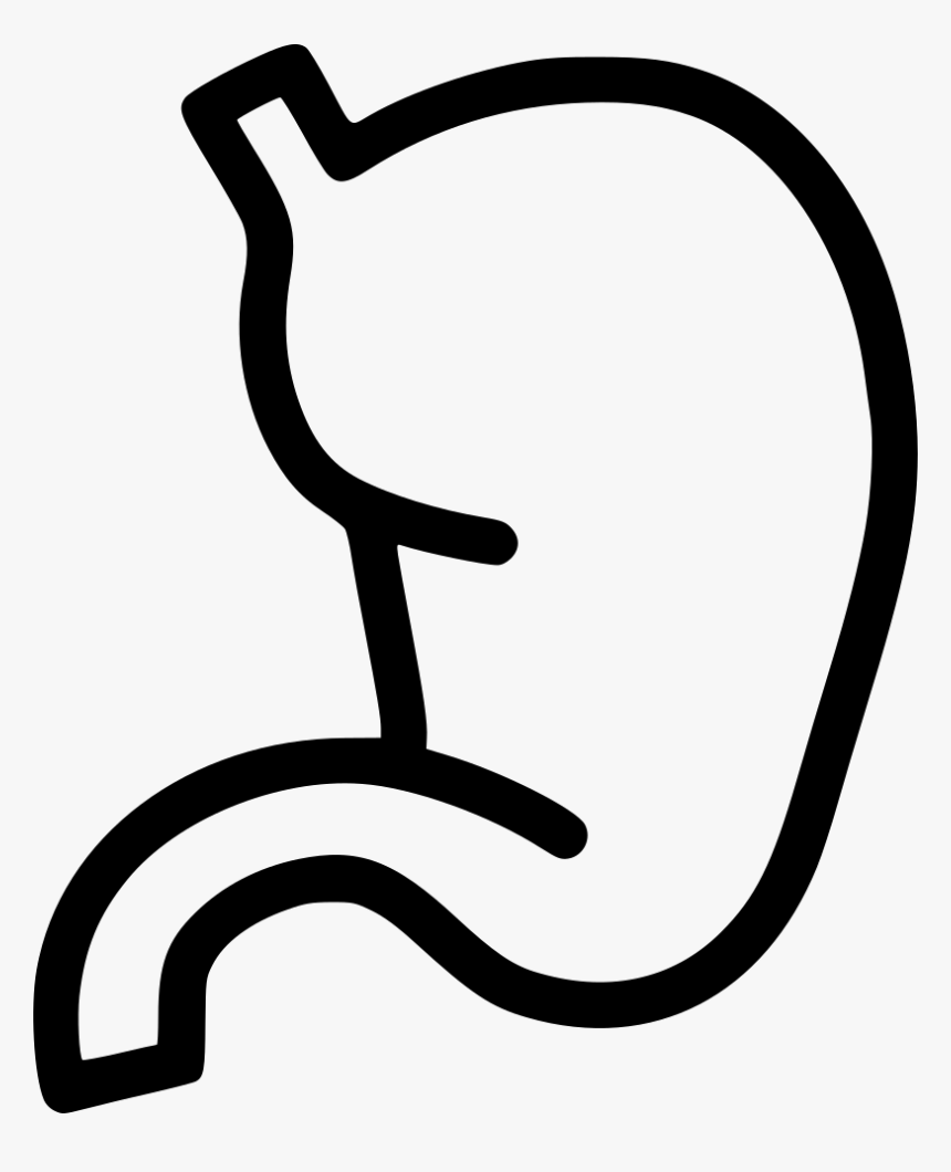 Stomach, HD Png Download