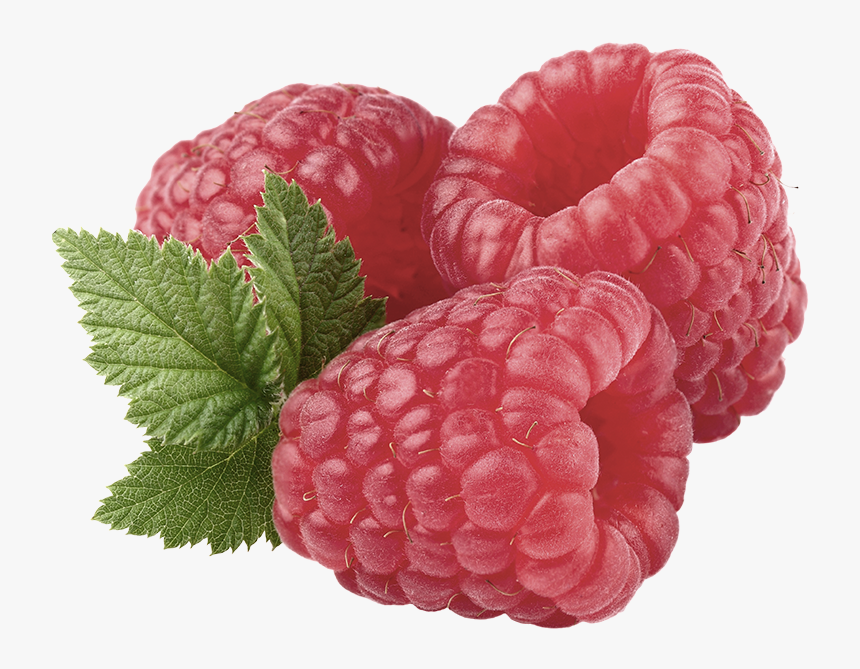 Raspberry Fruit Benefits, HD Png Download