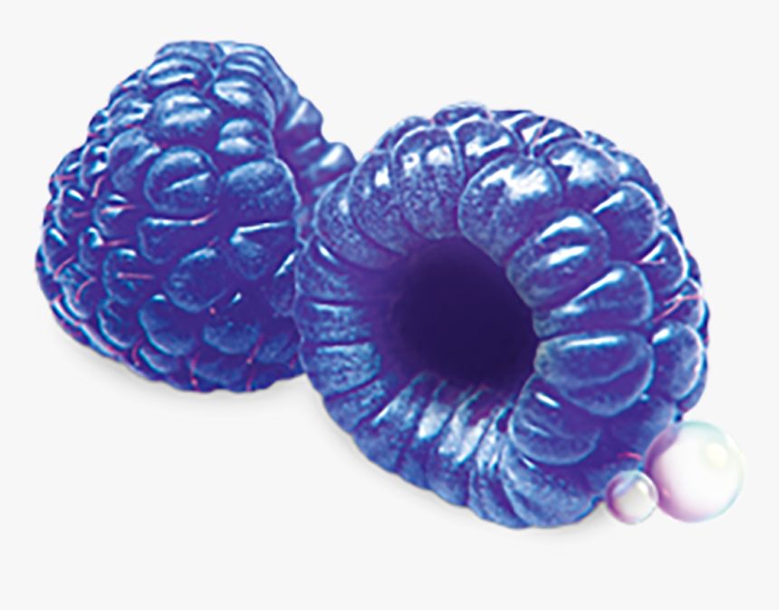 Blue Raspberry Png Transparent Blue Raspberry Png Png Download Transparent Png Image Pngitem
