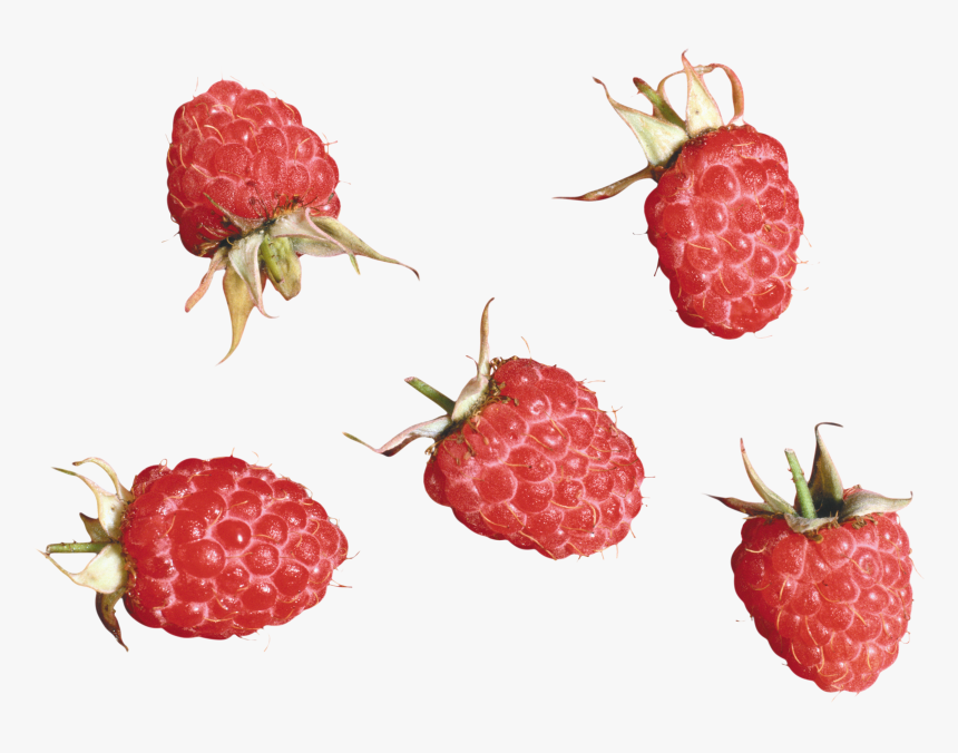 Малина Картинки Для Детей, HD Png Download