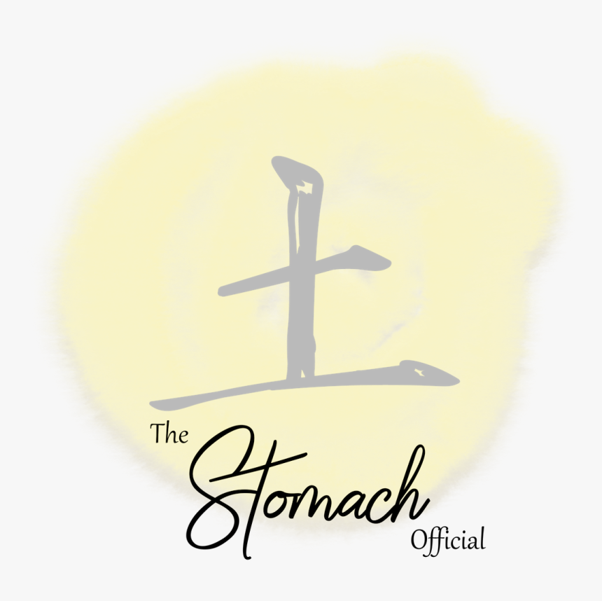 Stomach Png, Transparent Png