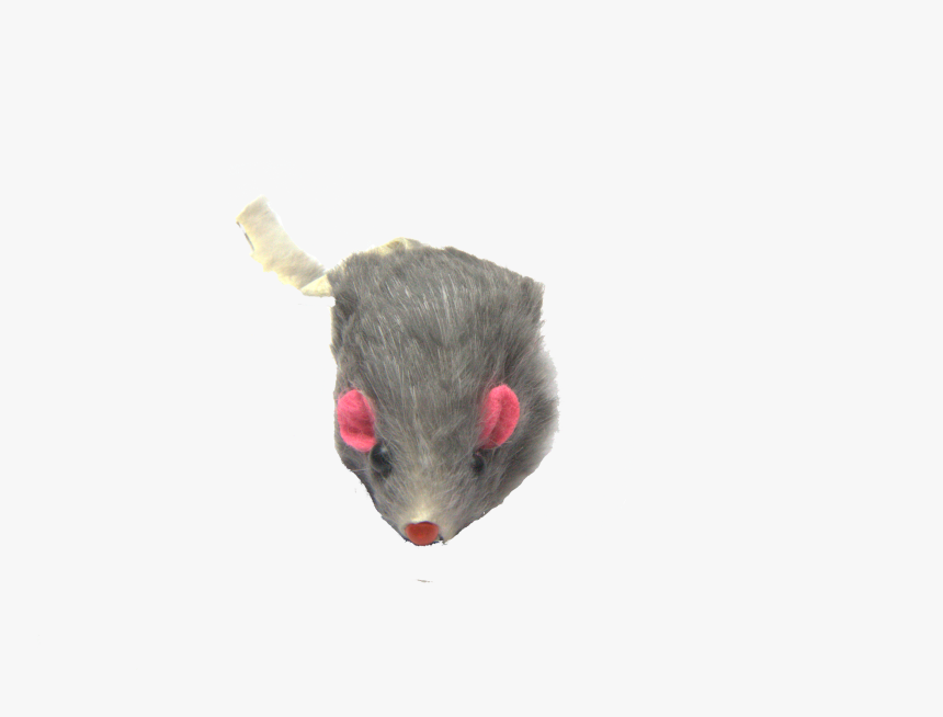 Mouse Animal Png, Transparent Png