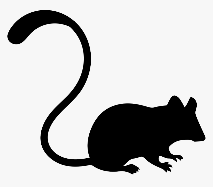 Mouse - Computer Mouse, HD Png Download