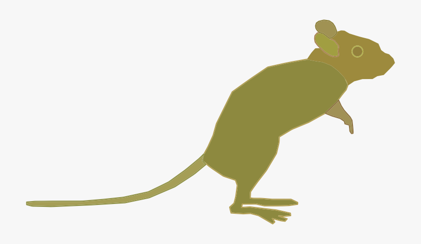 Green Mouse - Siluetas De Ratones, HD Png Download